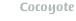 Cocoyote