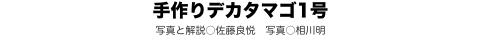 手作りデカタマゴ1号 写真と解説○佐藤良悦　写真○相川明