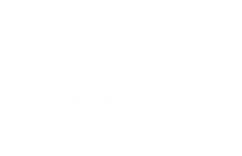 プログラム 詳細決定