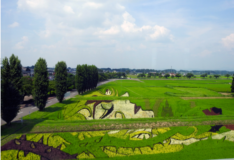 tanboart-kogawa2019.jpg