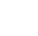 好評 発売中